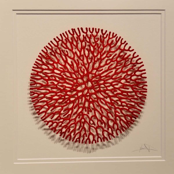 Meredith Woolnough Nature Study 2 Coral Network